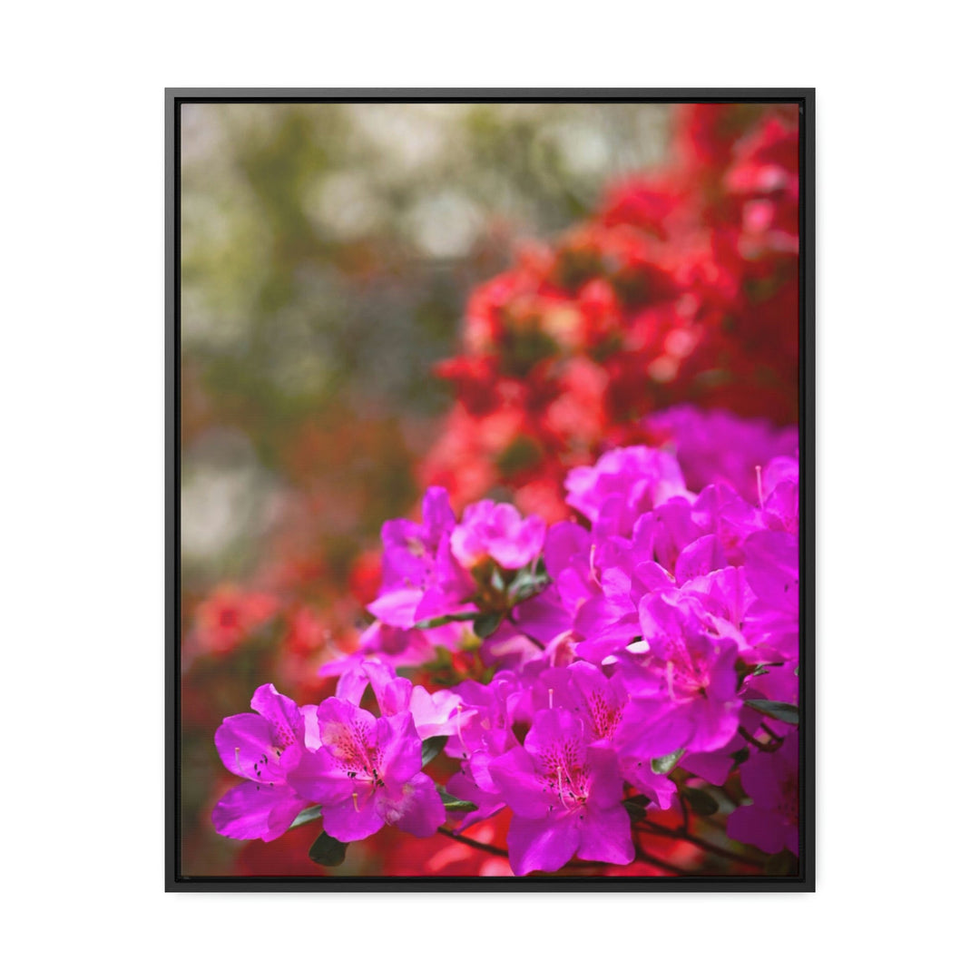 Beauty in Layers - Canvas with Frame - Visiting This World