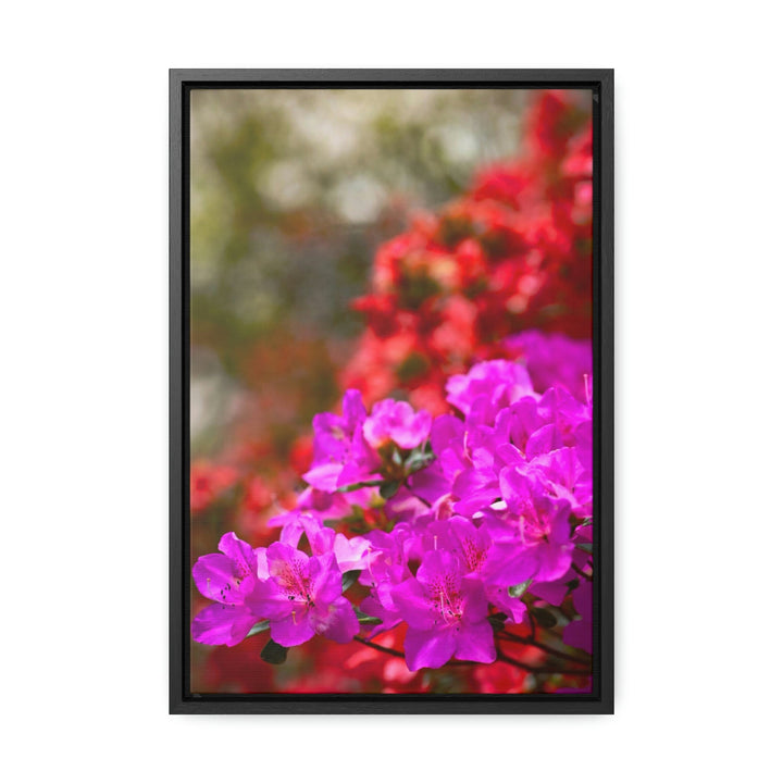 Beauty in Layers - Canvas with Frame - Visiting This World