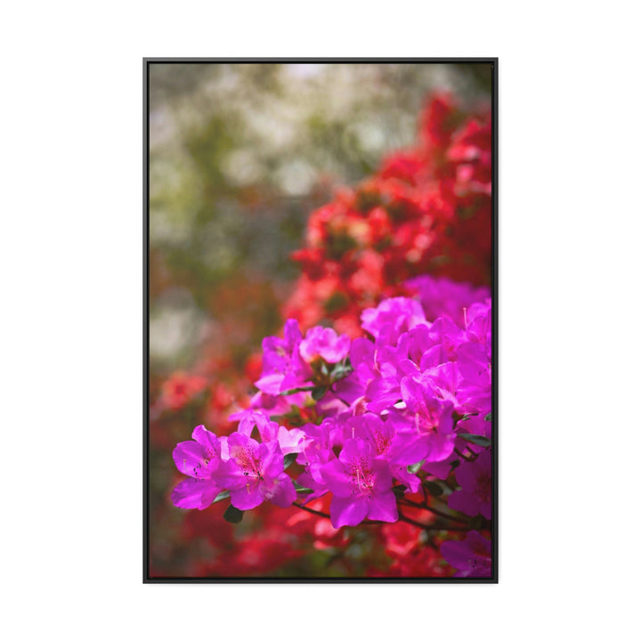 Beauty in Layers - Canvas with Frame - Visiting This World