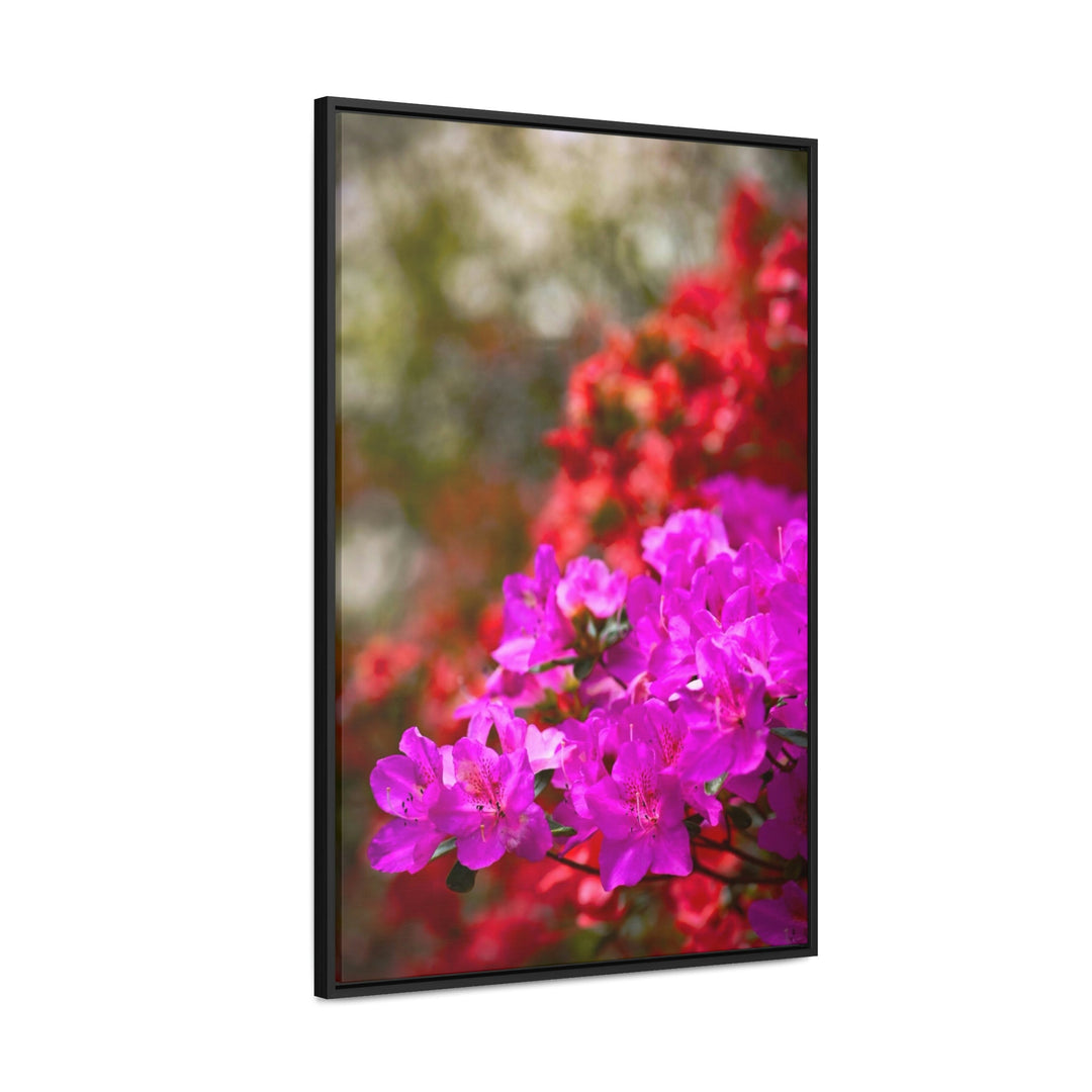 Beauty in Layers - Canvas with Frame - Visiting This World