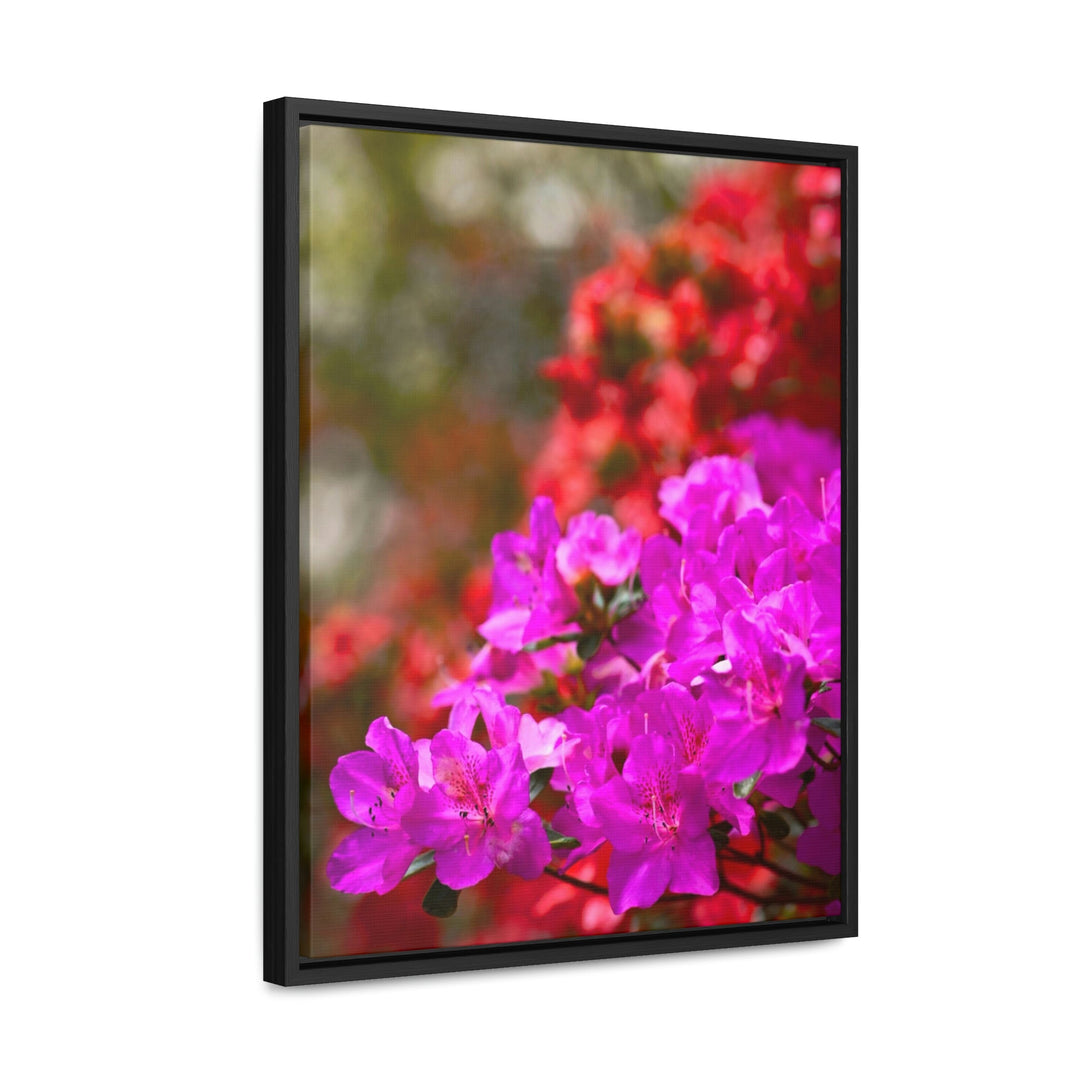 Beauty in Layers - Canvas with Frame - Visiting This World