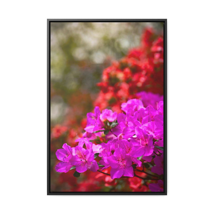 Beauty in Layers - Canvas with Frame - Visiting This World