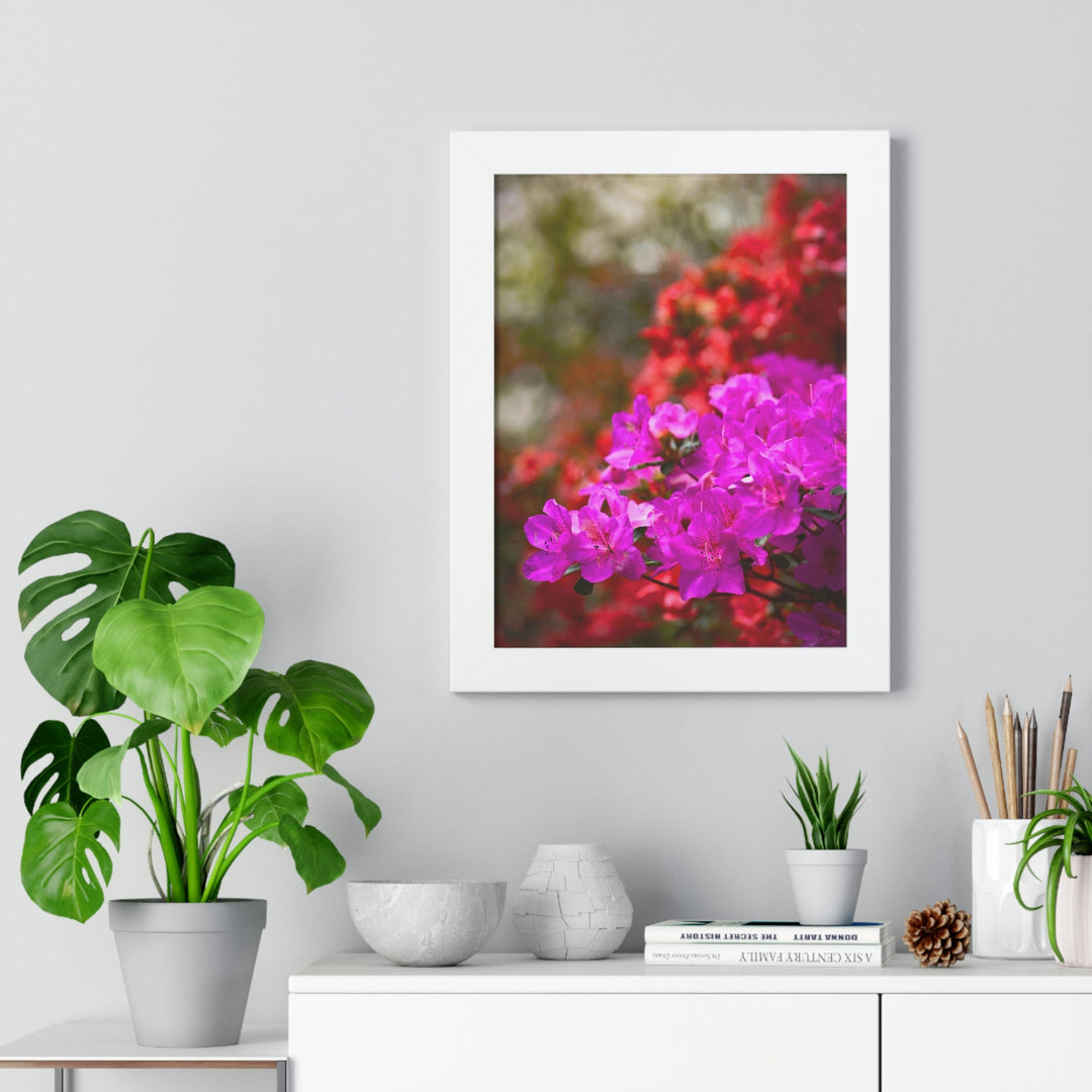 Beauty in Layers - Framed Print - Visiting This World