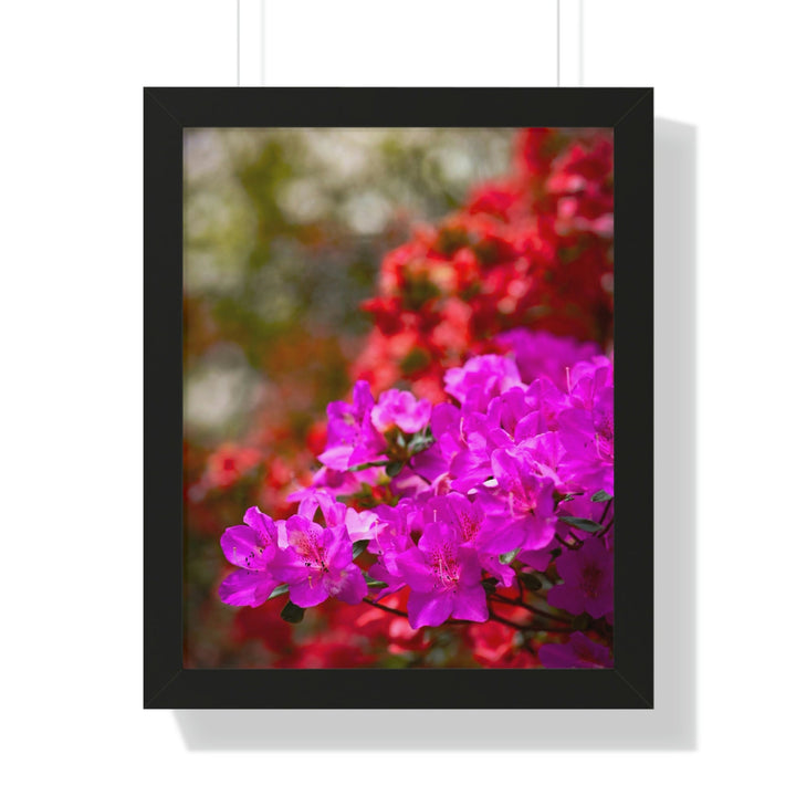 Beauty in Layers - Framed Print - Visiting This World