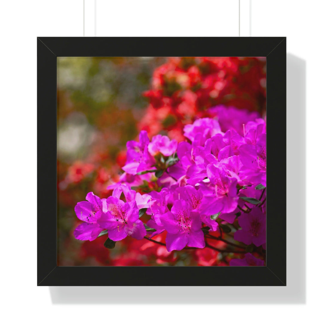 Beauty in Layers - Framed Print - Visiting This World