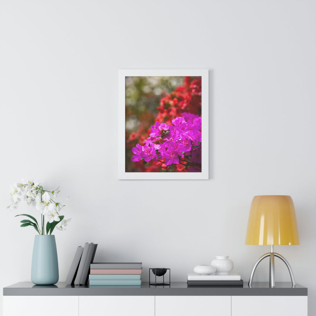 Beauty in Layers - Framed Print - Visiting This World