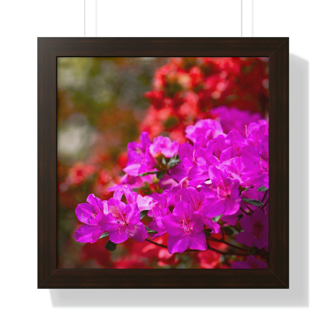 Beauty in Layers - Framed Print - Visiting This World