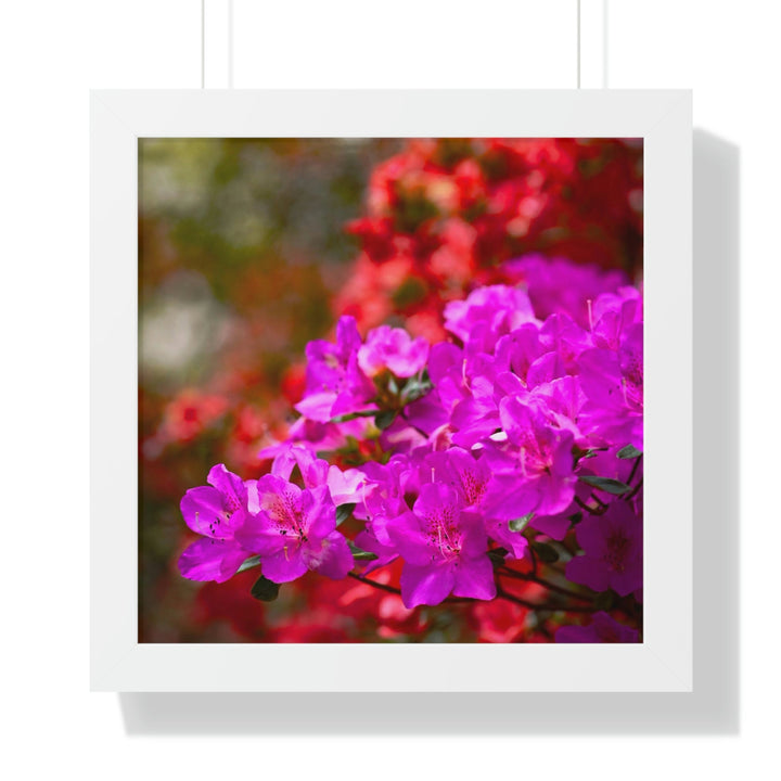 Beauty in Layers - Framed Print - Visiting This World