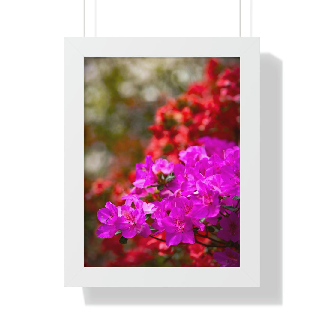 Beauty in Layers - Framed Print - Visiting This World