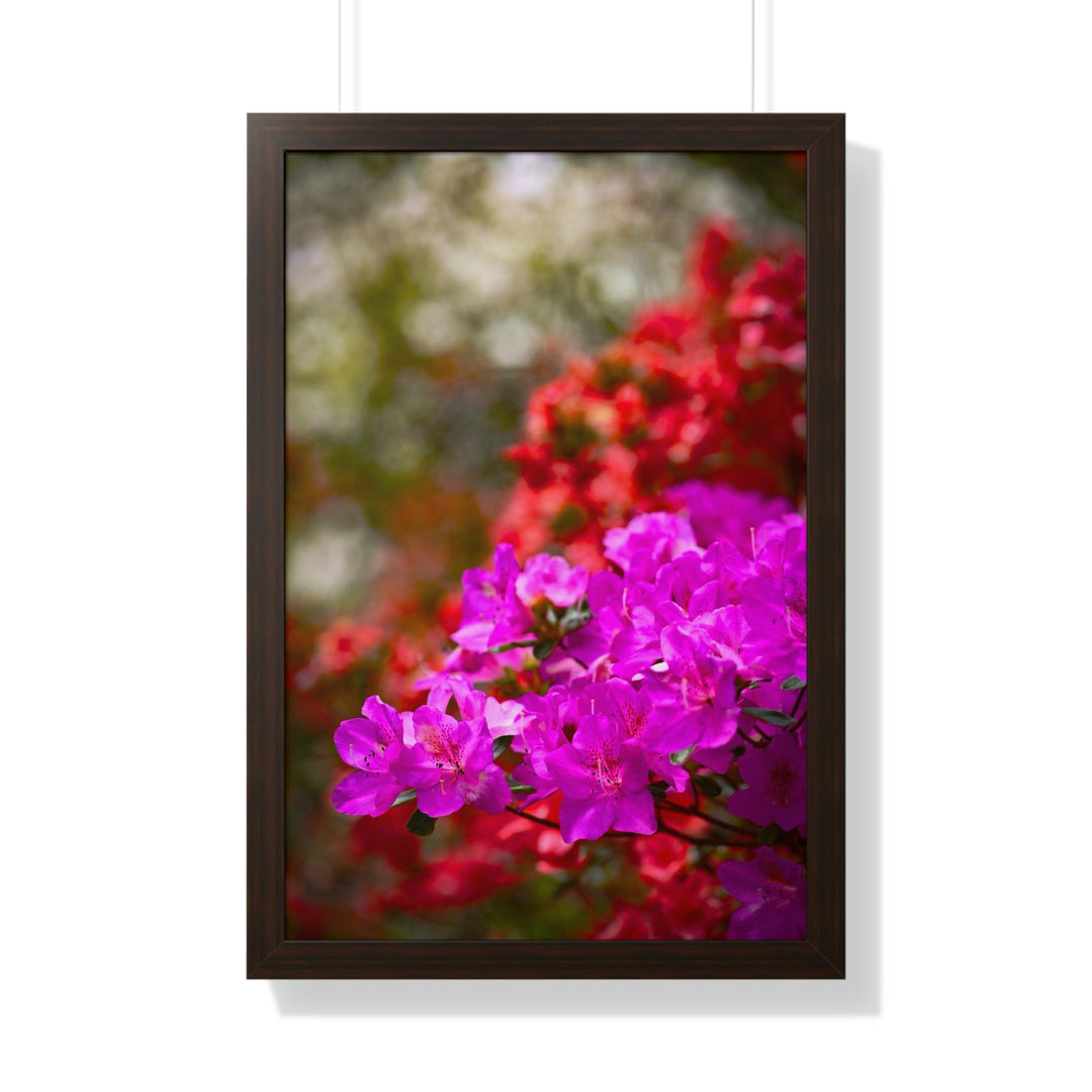 Beauty in Layers - Framed Print - Visiting This World