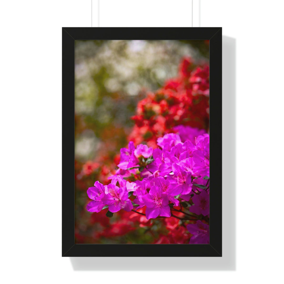 Beauty in Layers - Framed Print - Visiting This World