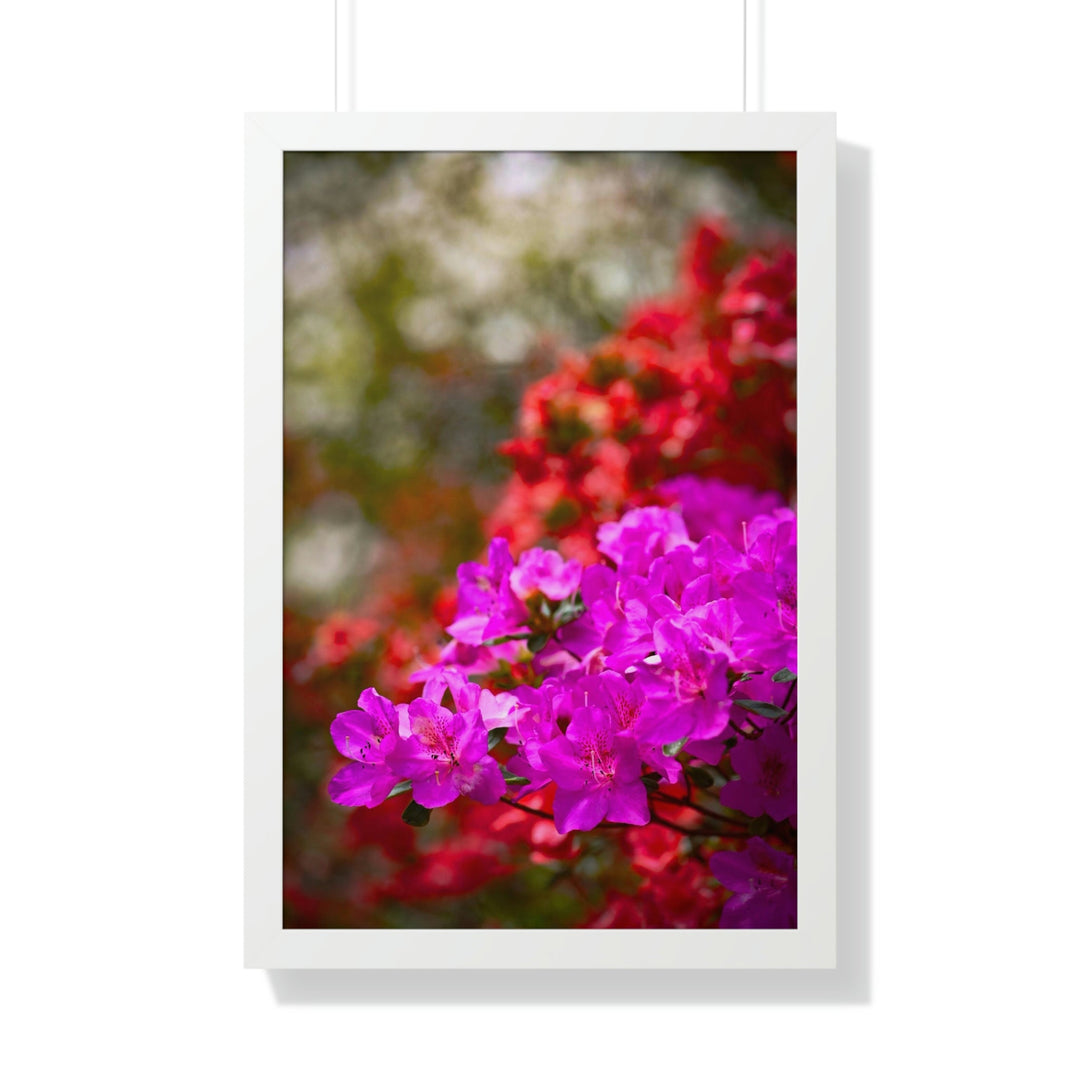 Beauty in Layers - Framed Print - Visiting This World