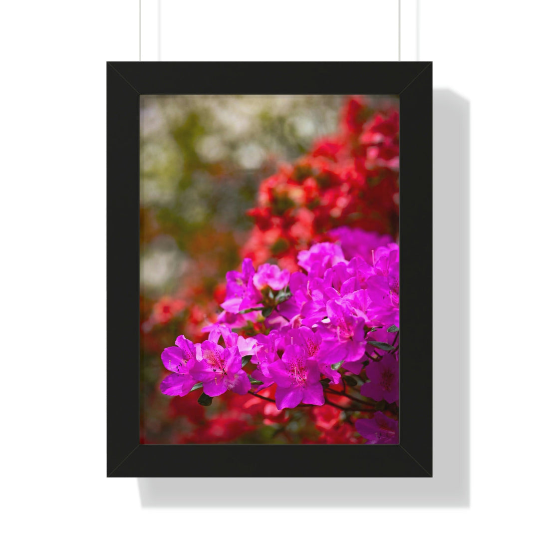 Beauty in Layers - Framed Print - Visiting This World