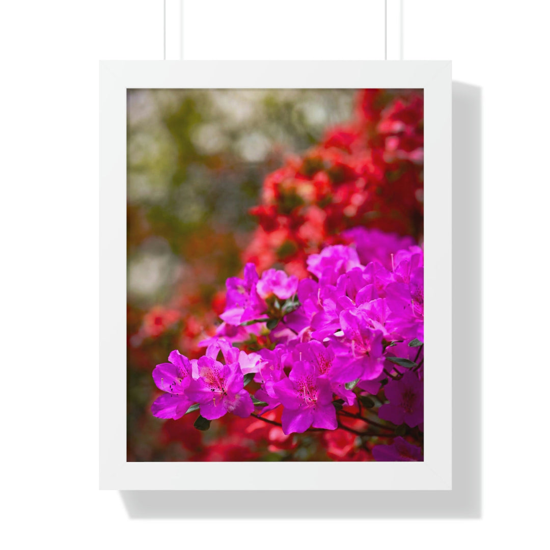 Beauty in Layers - Framed Print - Visiting This World