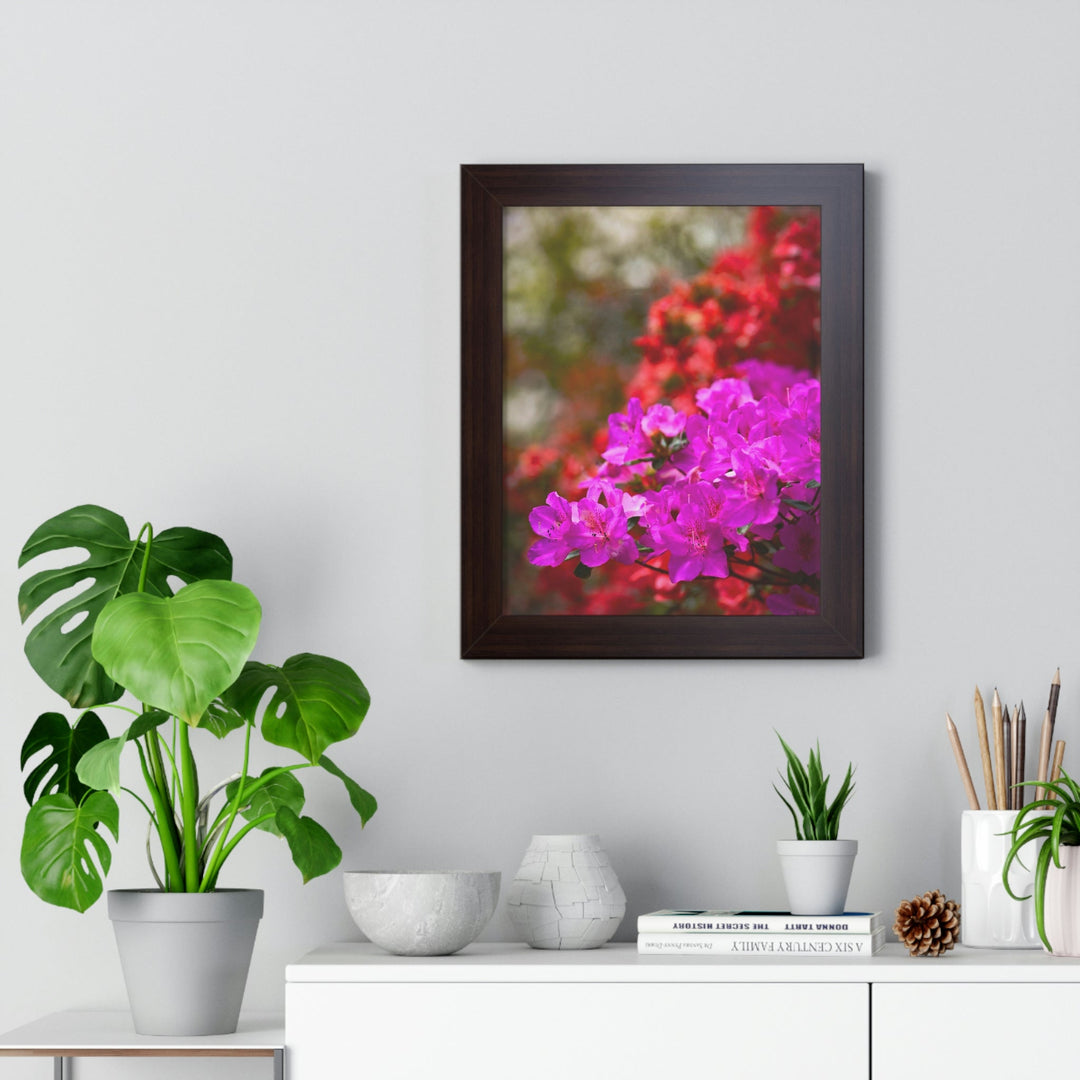 Beauty in Layers - Framed Print - Visiting This World