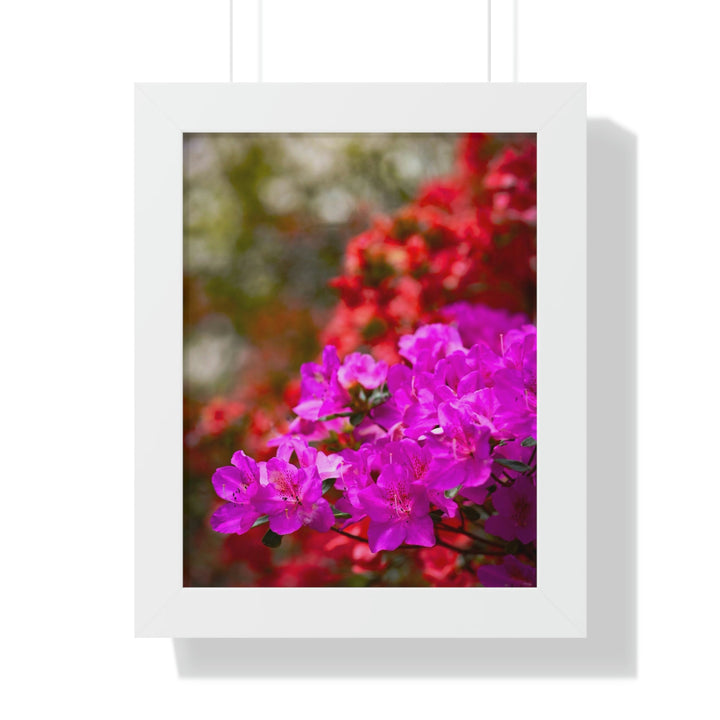 Beauty in Layers - Framed Print - Visiting This World