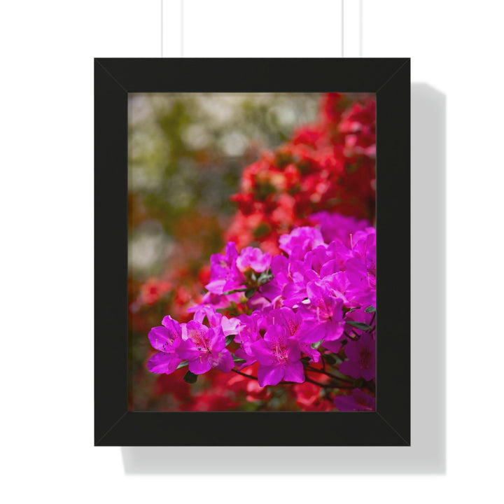 Beauty in Layers - Framed Print - Visiting This World