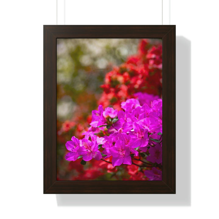 Beauty in Layers - Framed Print - Visiting This World