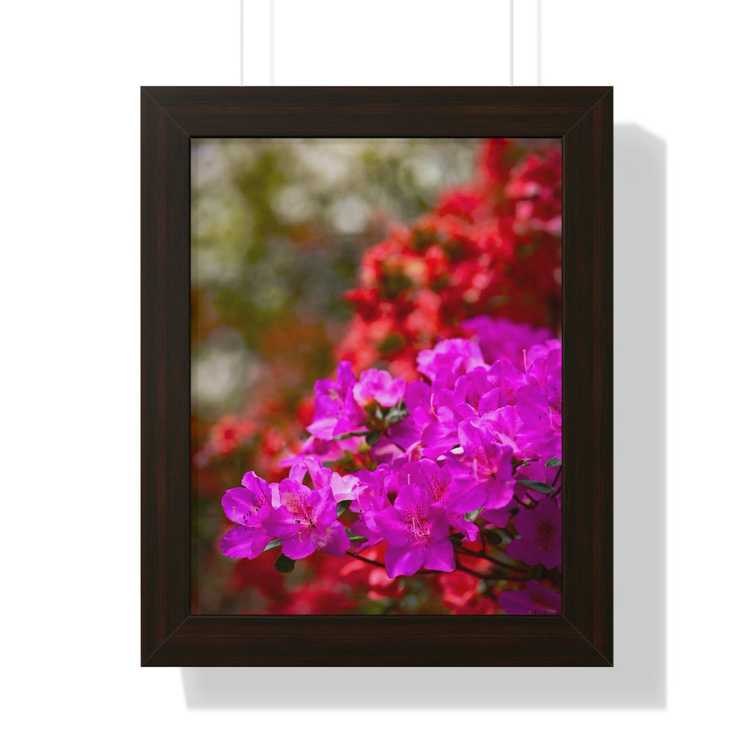 Beauty in Layers - Framed Print - Visiting This World