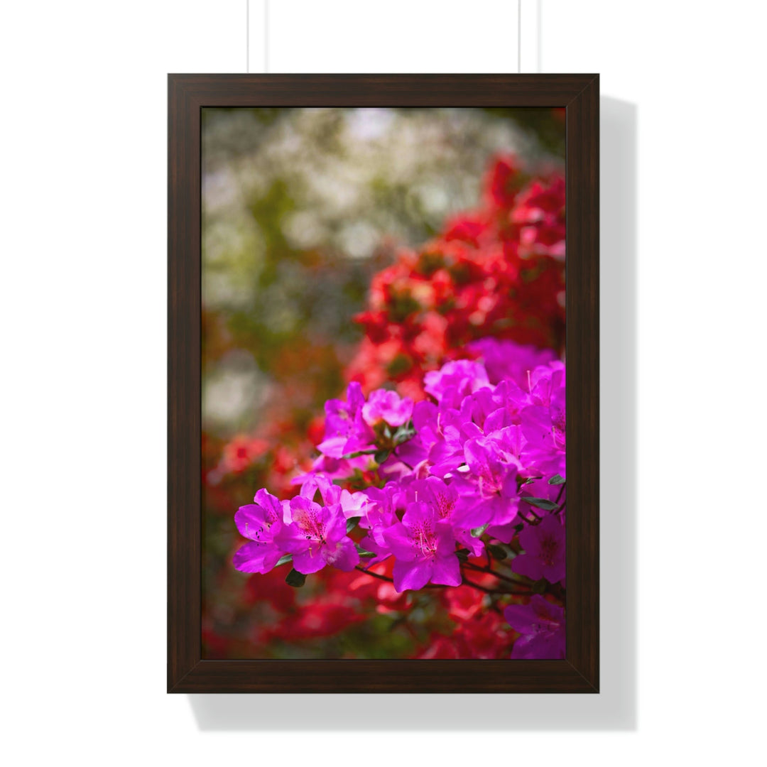 Beauty in Layers - Framed Print - Visiting This World