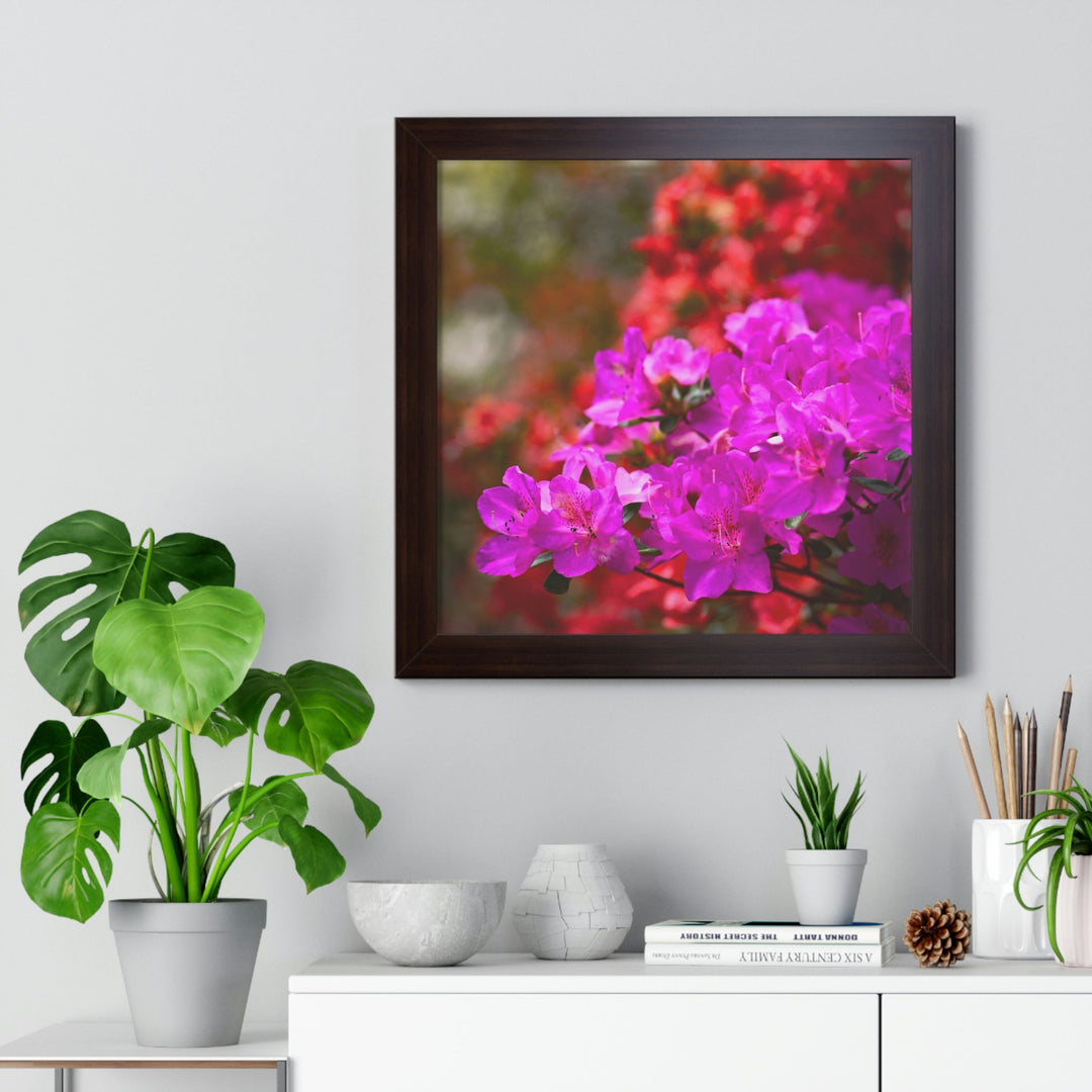 Beauty in Layers - Framed Print - Visiting This World