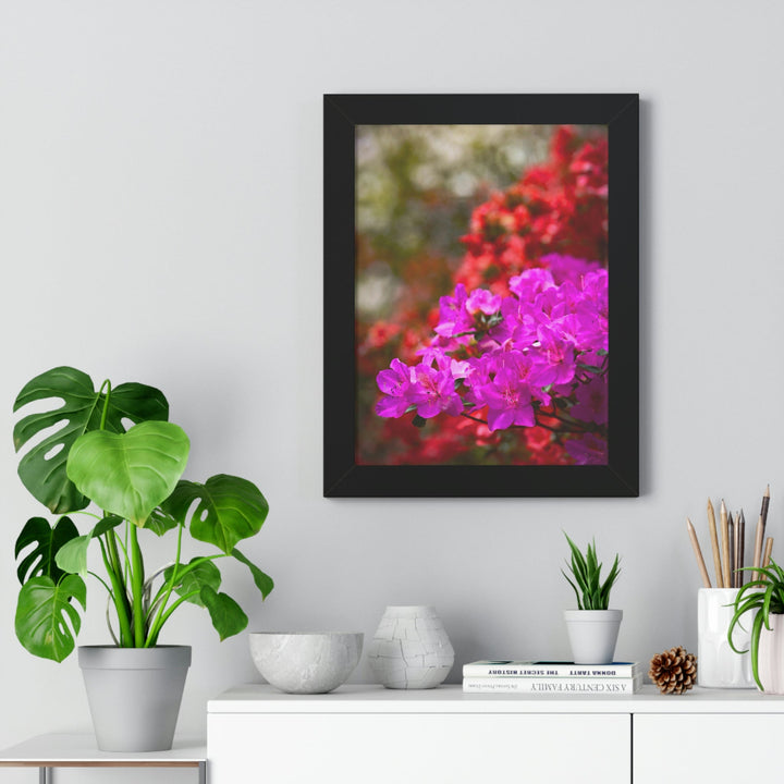 Beauty in Layers - Framed Print - Visiting This World