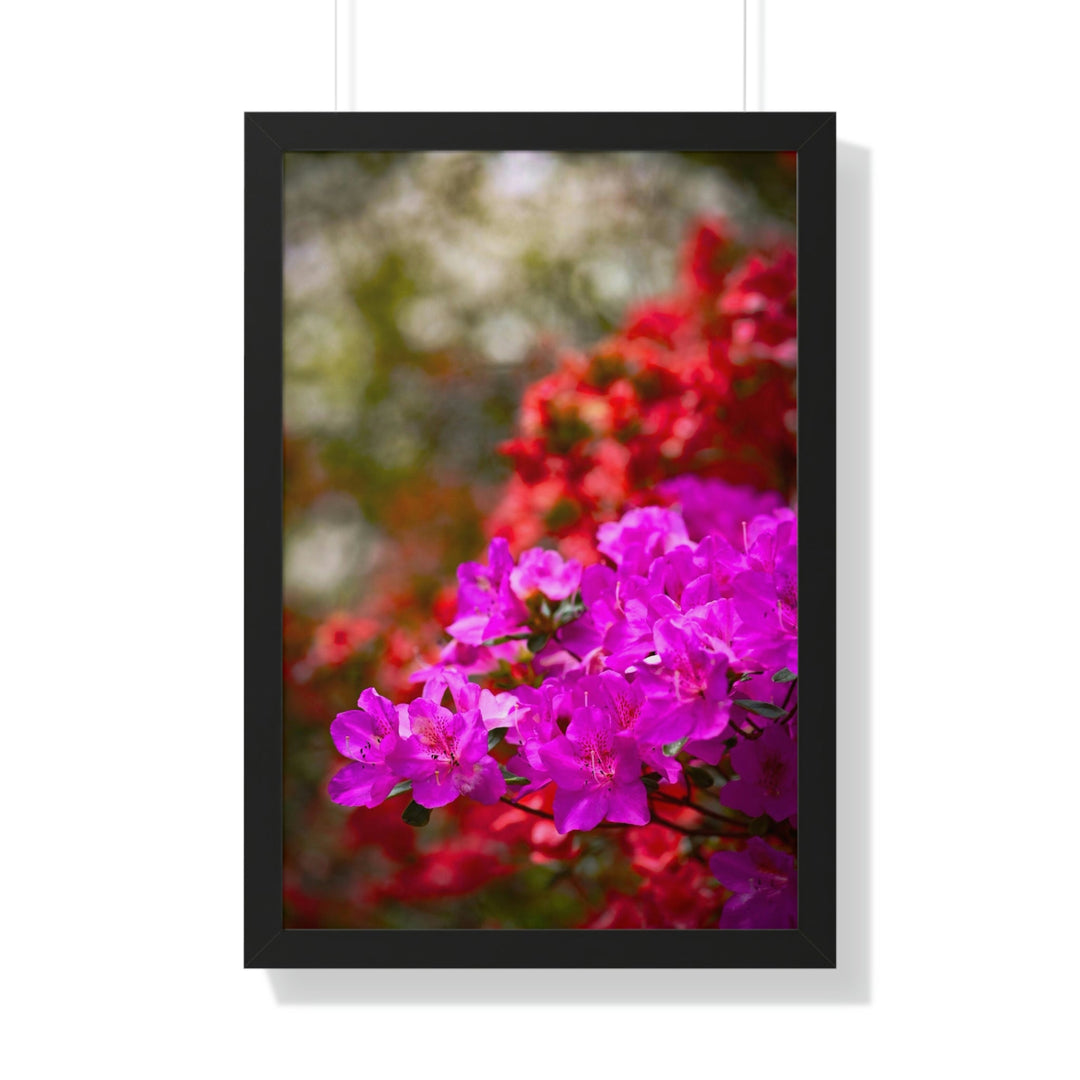 Beauty in Layers - Framed Print - Visiting This World