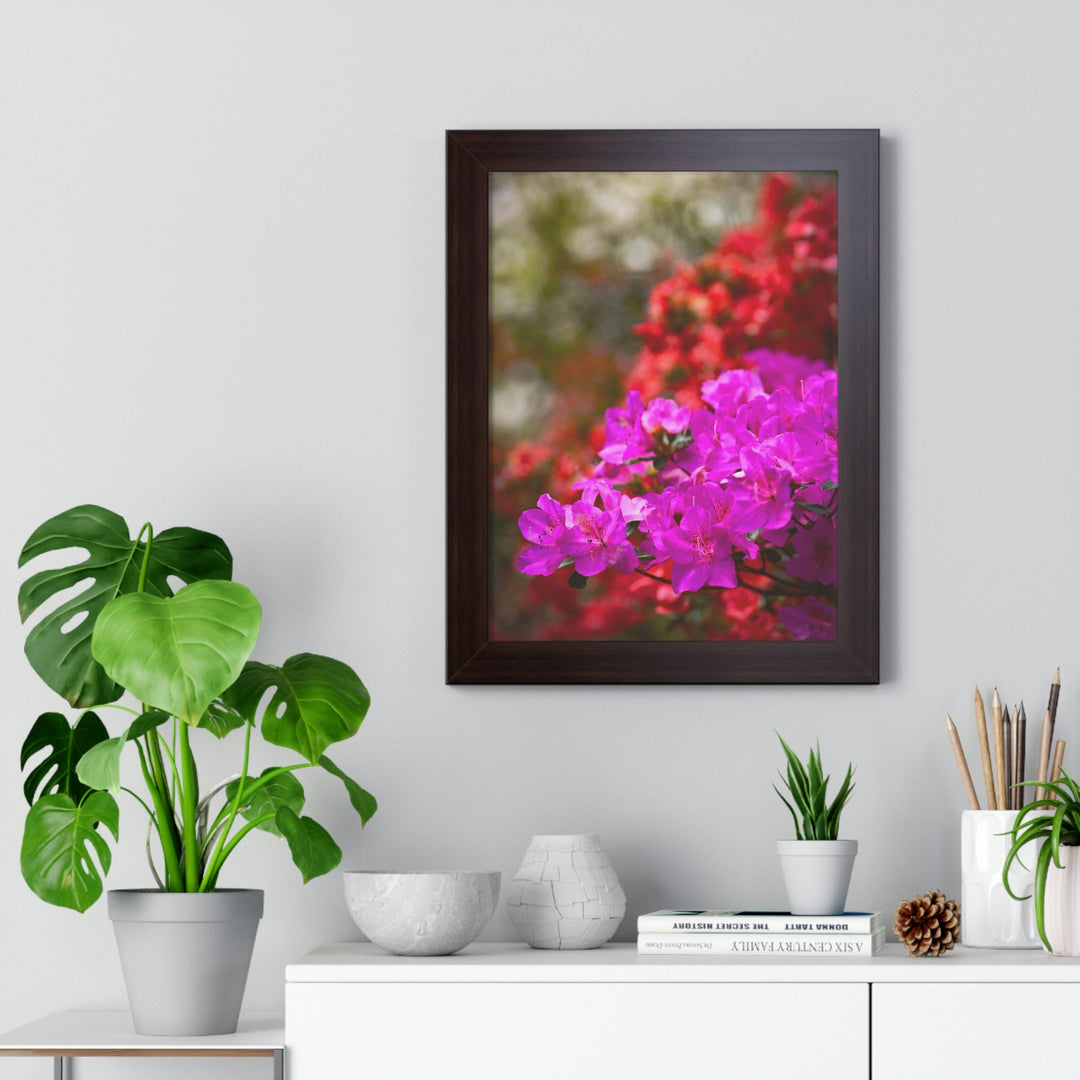 Beauty in Layers - Framed Print - Visiting This World