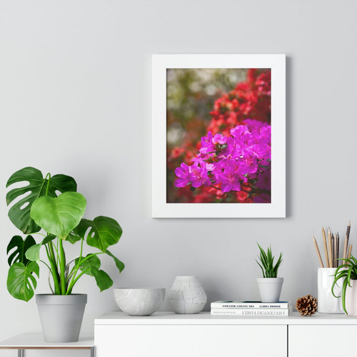 Beauty in Layers - Framed Print - Visiting This World