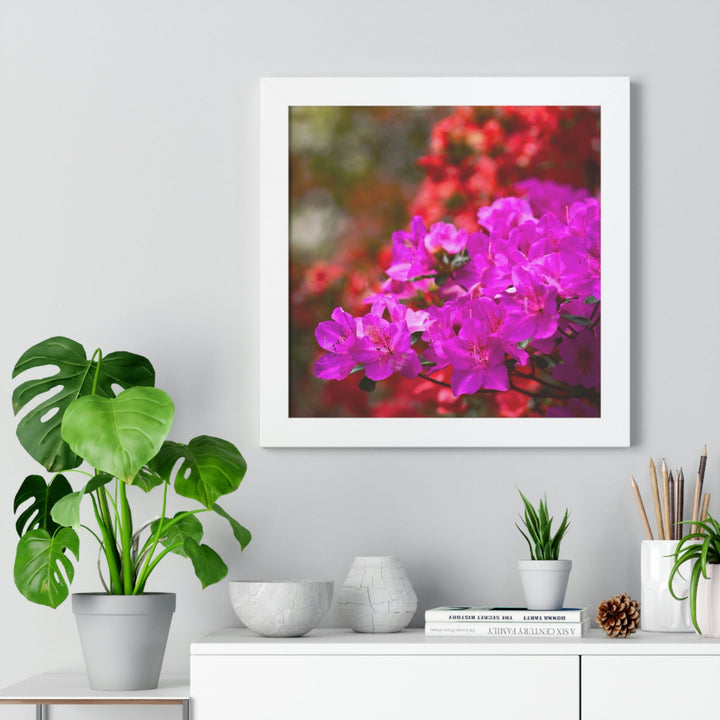 Beauty in Layers - Framed Print - Visiting This World