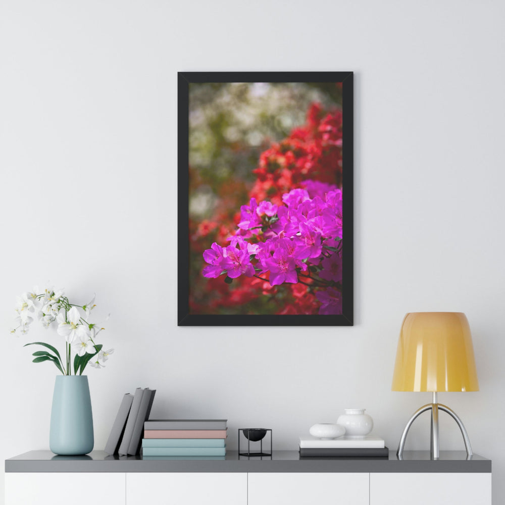 Beauty in Layers - Framed Print - Visiting This World