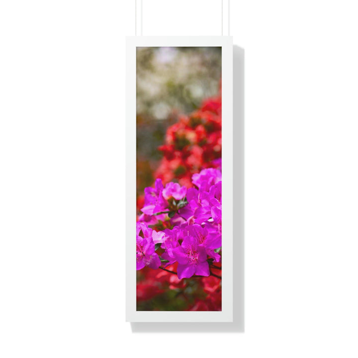 Beauty in Layers - Framed Print - Visiting This World