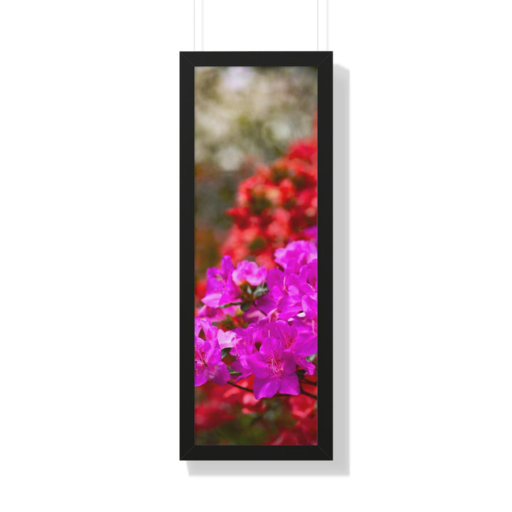 Beauty in Layers - Framed Print - Visiting This World