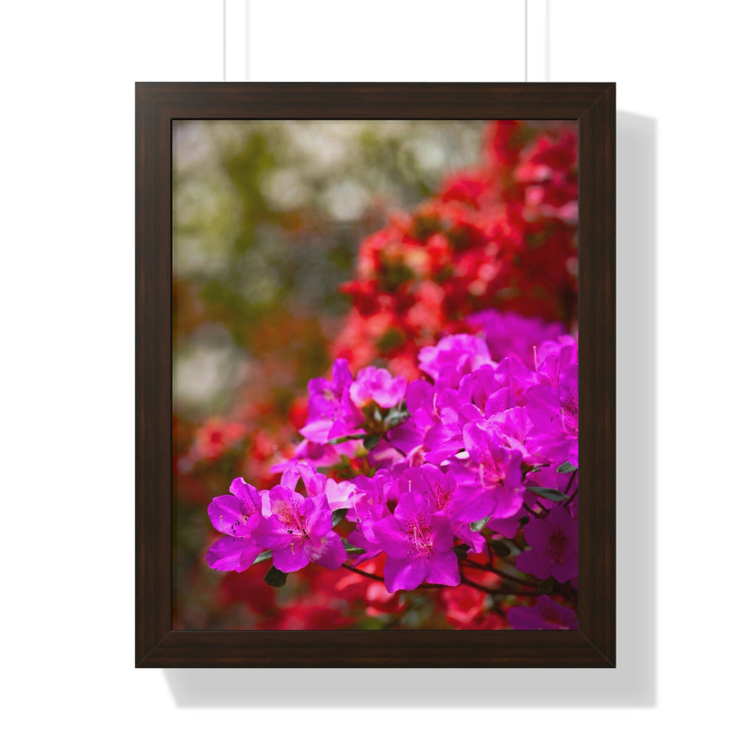 Beauty in Layers - Framed Print - Visiting This World