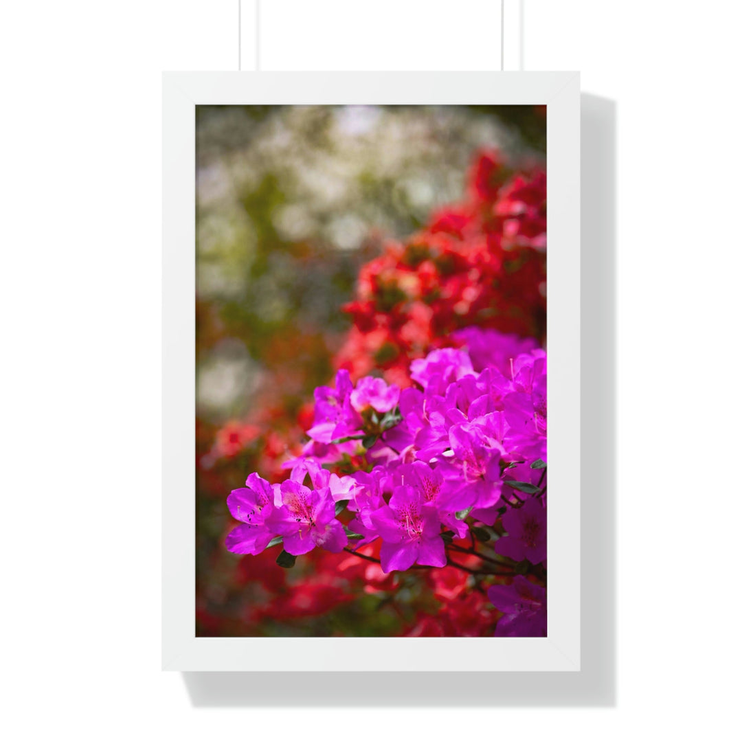 Beauty in Layers - Framed Print - Visiting This World