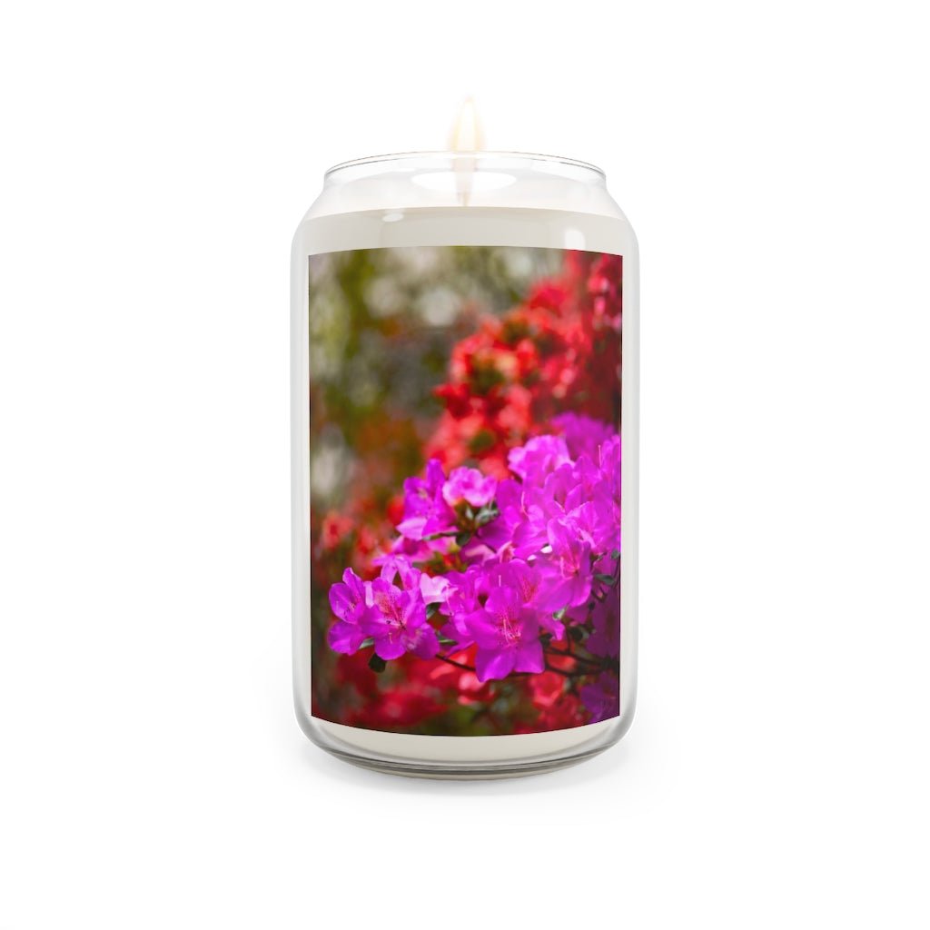 Beauty in Layers - Scented Candle, 13.75oz - Visiting This World