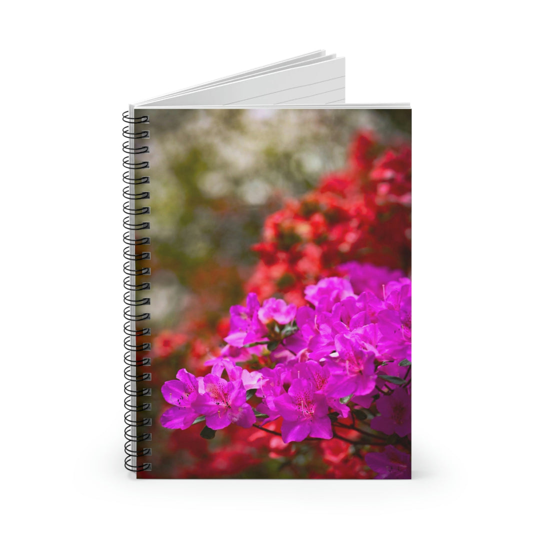 Beauty in Layers - Spiral Ruled Line Notebook - Visiting This World