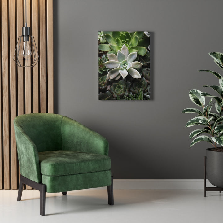 Succulent - Array - Canvas