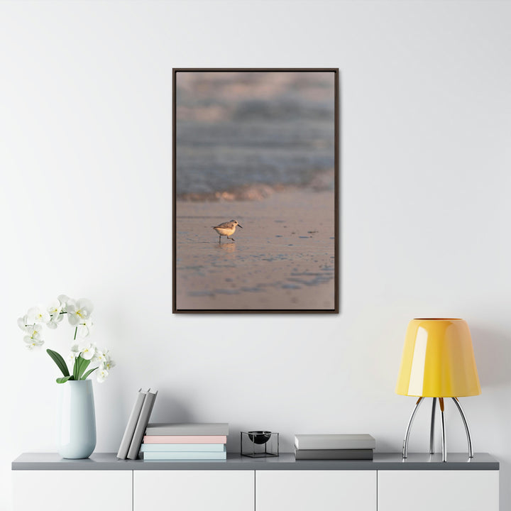 Sanderling in Soft Dusk Light - Canvas with Frame