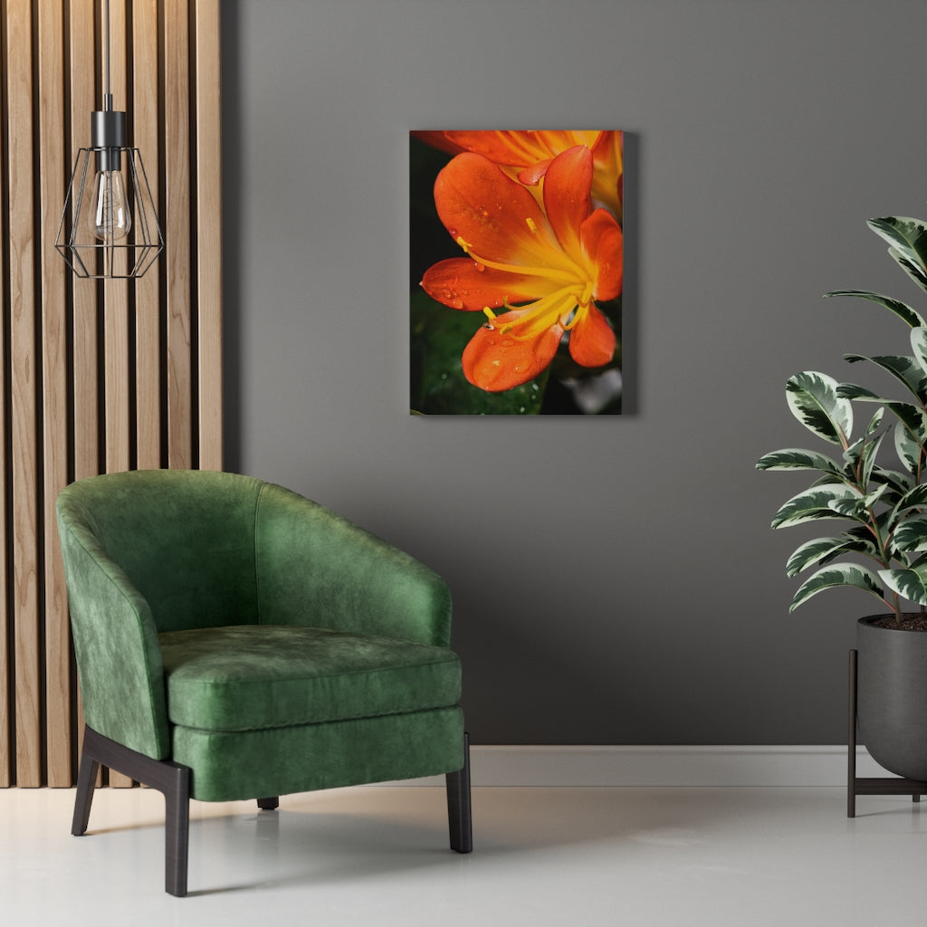 Bright Bush Lily - Canvas