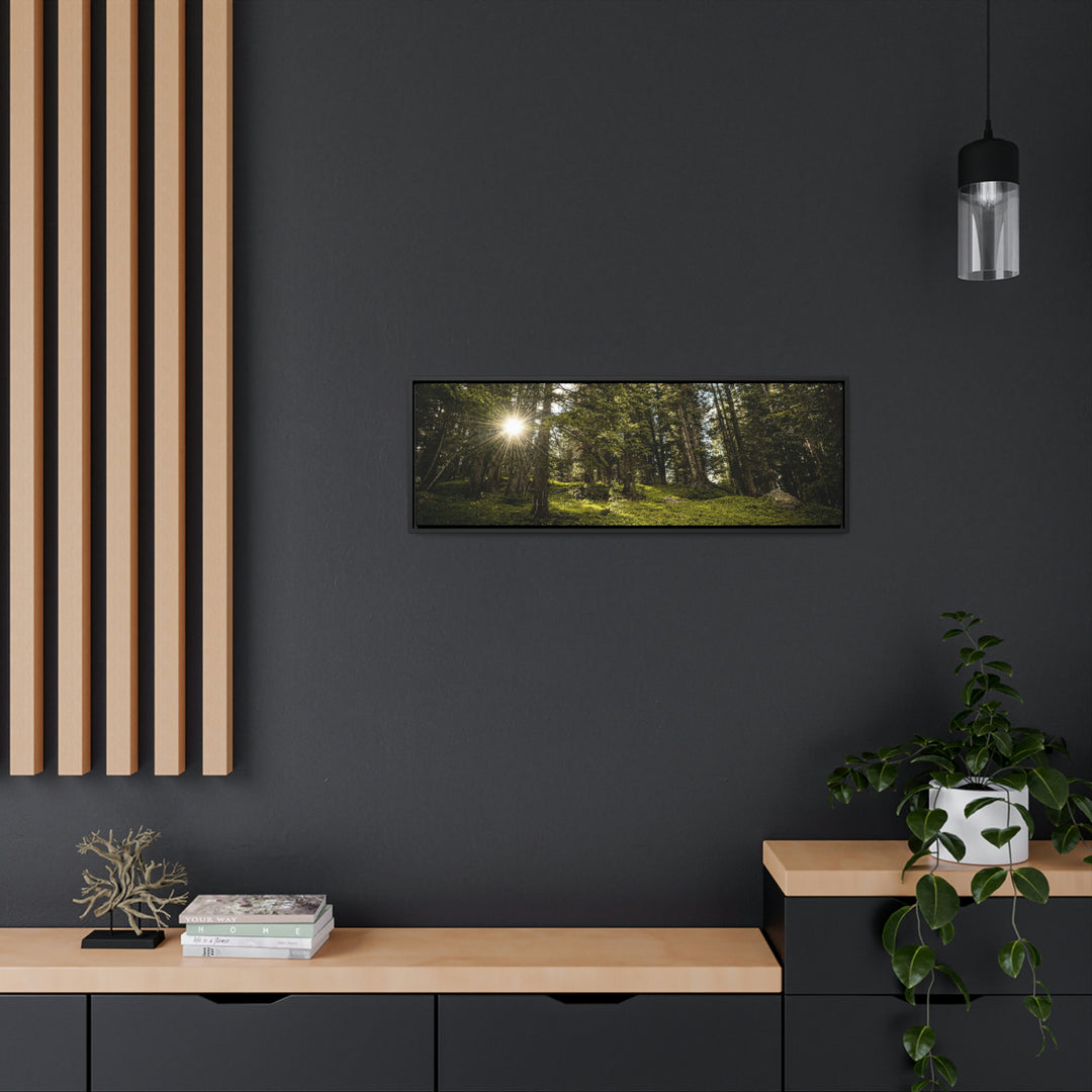 Forest Light - Canvas with Frame