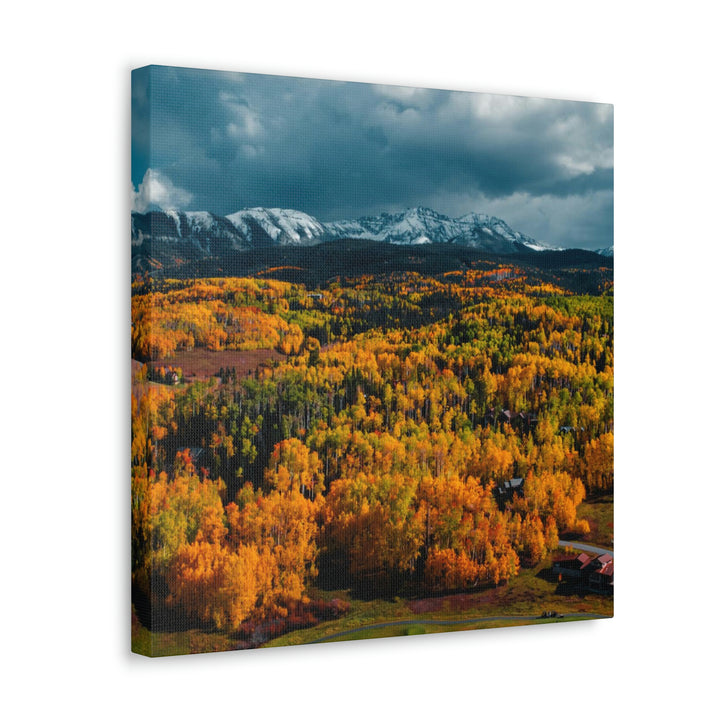 Golds of Autumn - Canvas