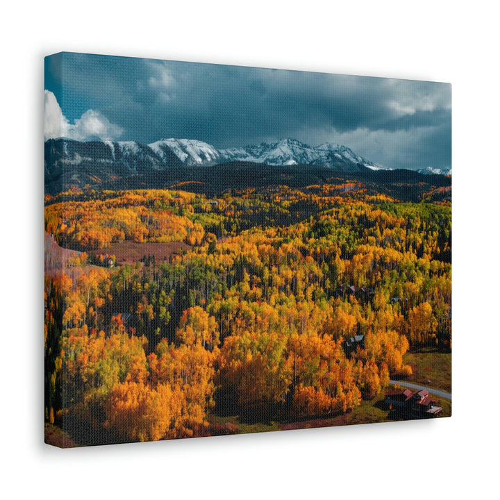 Golds of Autumn - Canvas