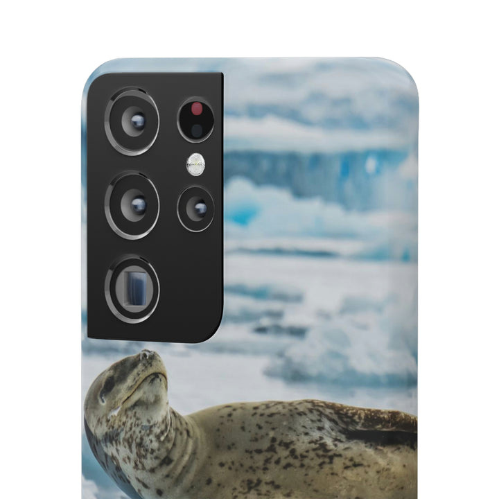 Leopard Seal Relaxing - Phone Case