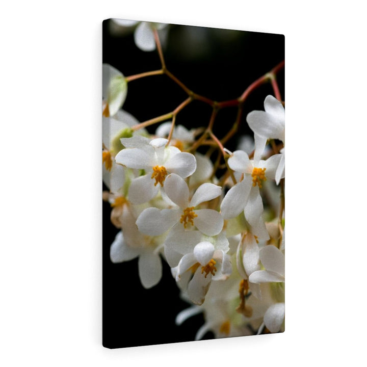 Floral Network - Canvas