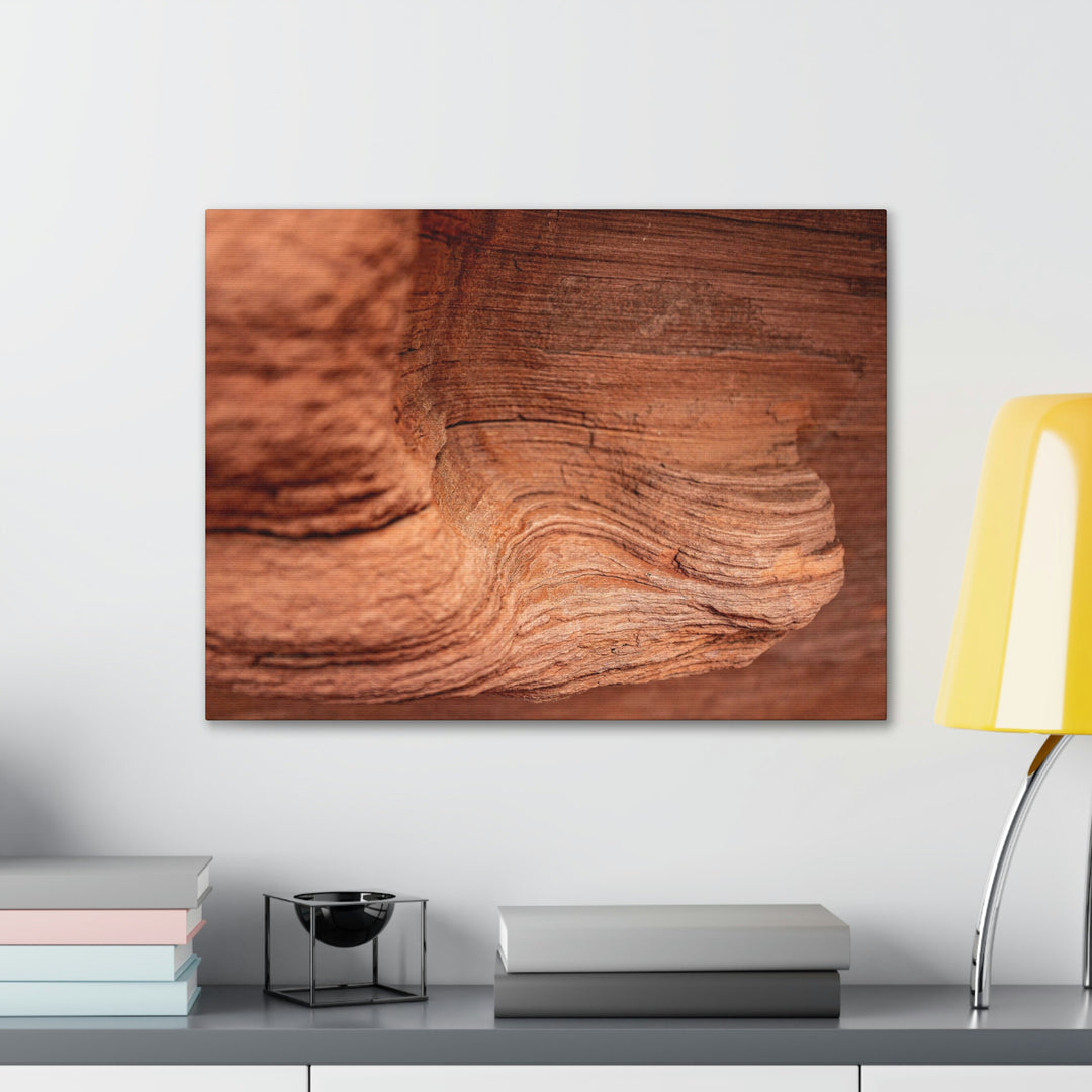 Sedimentary Rock Curves - Canvas