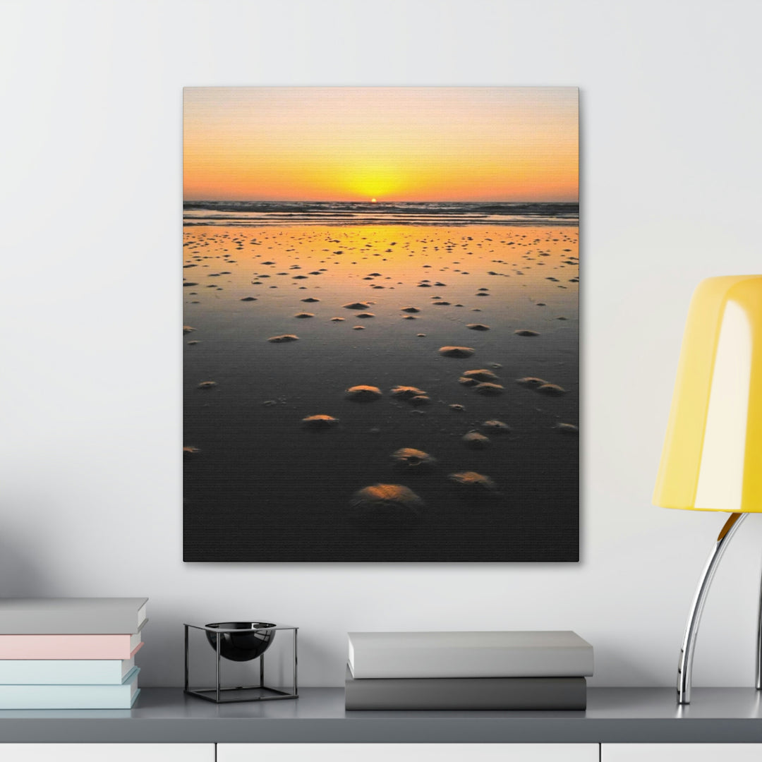 Burrows at Sunrise - Canvas