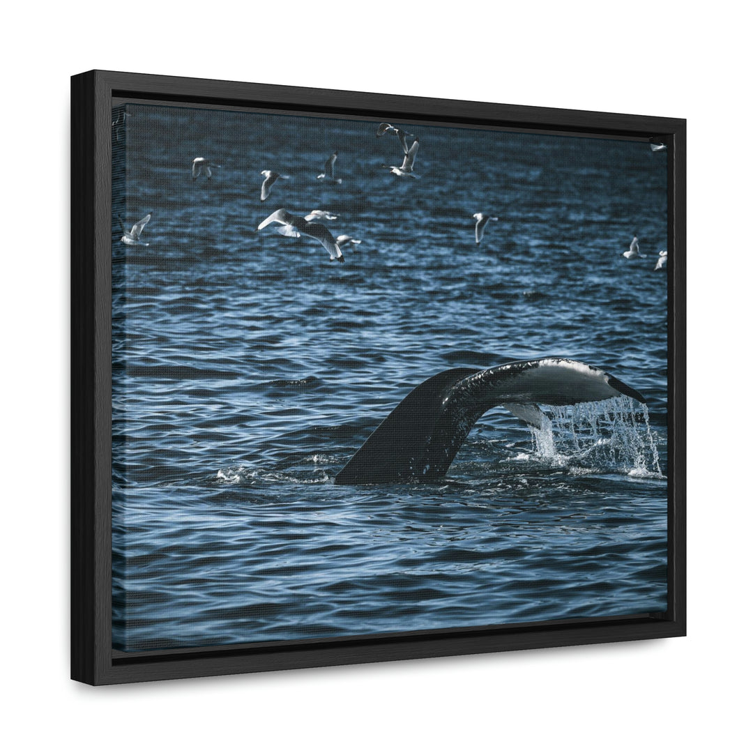 Feeding Tail - Canvas with Frame