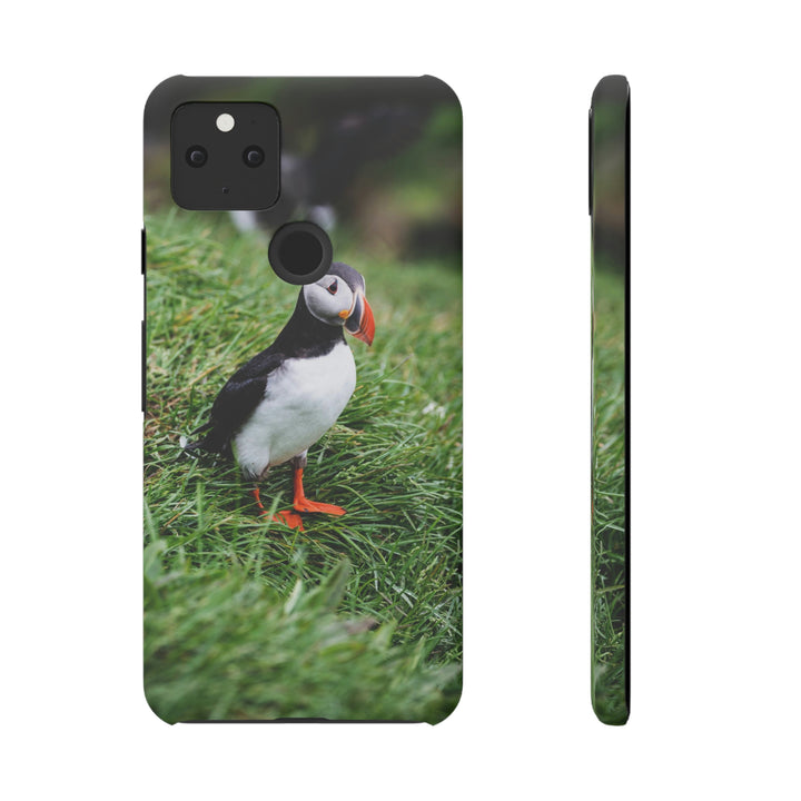 Curious Eye - Phone Case