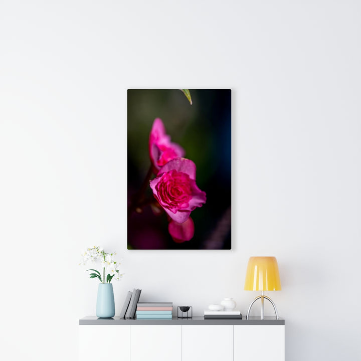 Hybrid Tea Lily - Canvas